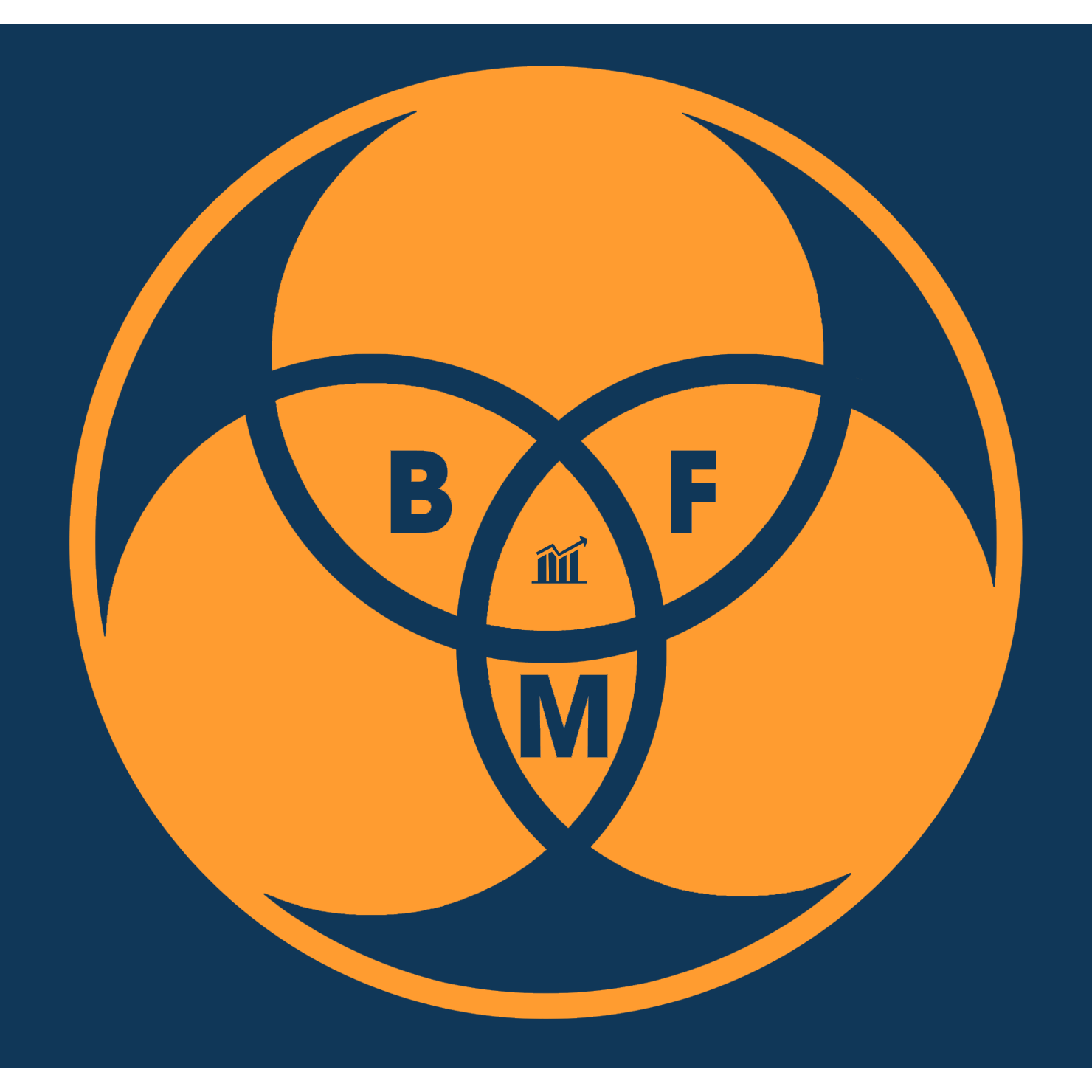 BFM Inc.