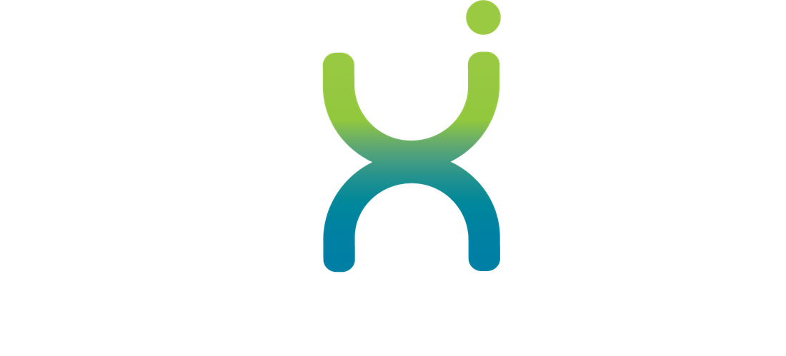 Lexin Solutions logo