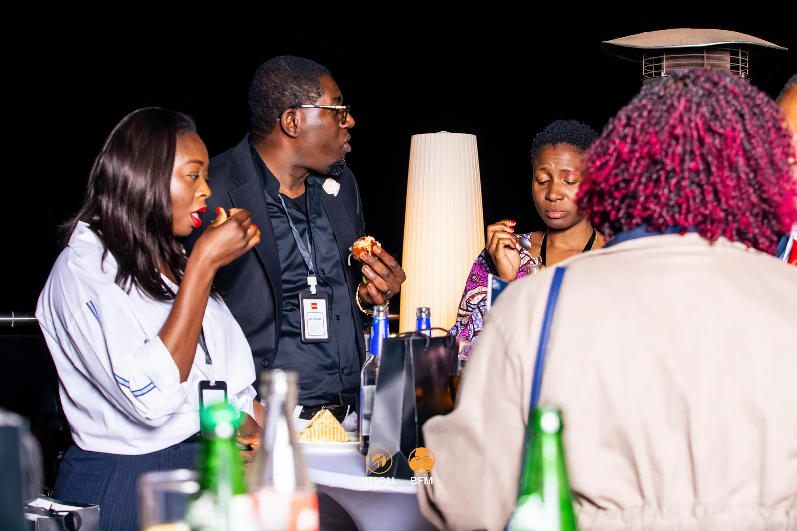 Audience and networking moment at the MISPAL Pre-Summit 2026