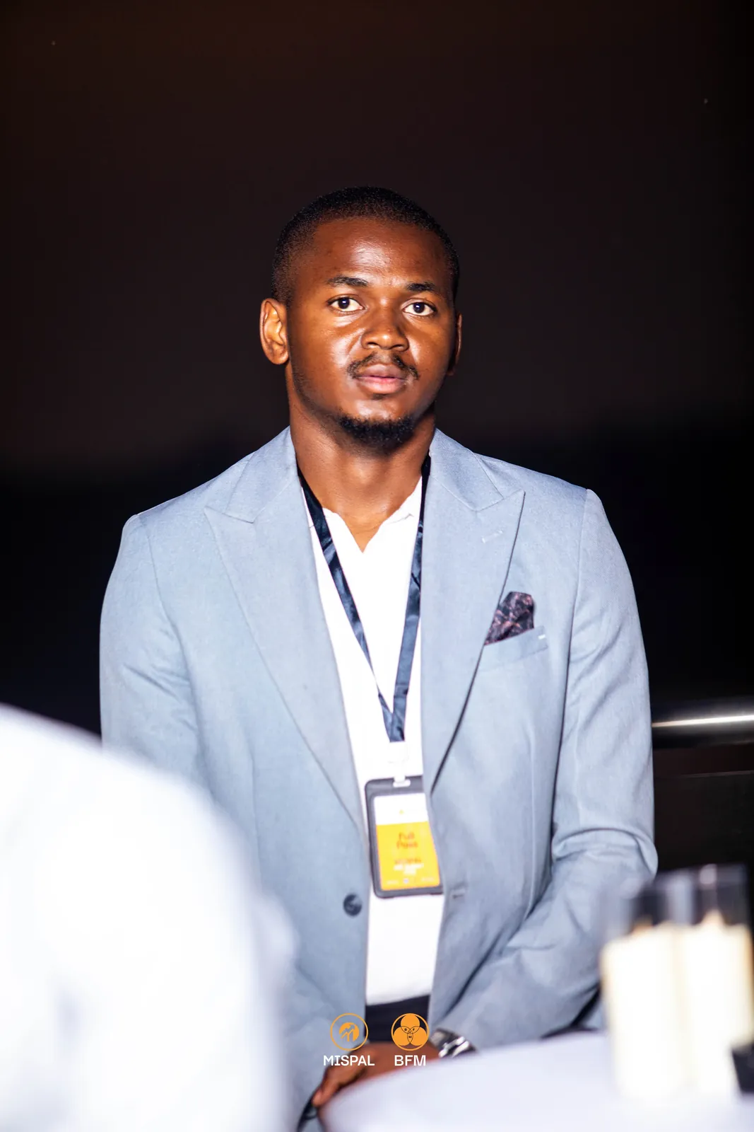 Audience and networking moment at the MISPAL Pre-Summit 2026