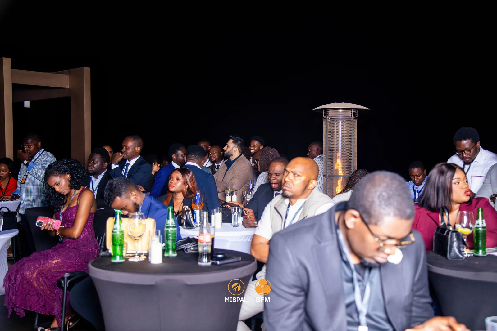 Audience and networking moment at the MISPAL Pre-Summit 2026